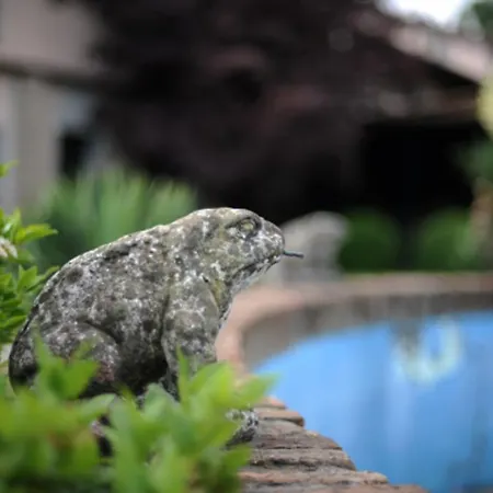 Szálloda Villino Della Flanella 3*